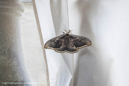 07 05 2018, Lourmarin (FRA,84), Maison d'hôte Villa Saint-Louis