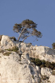06 05 2009 - Marseille (FRA, 13) - Les Calanques - near Castelviel cliffs bottom