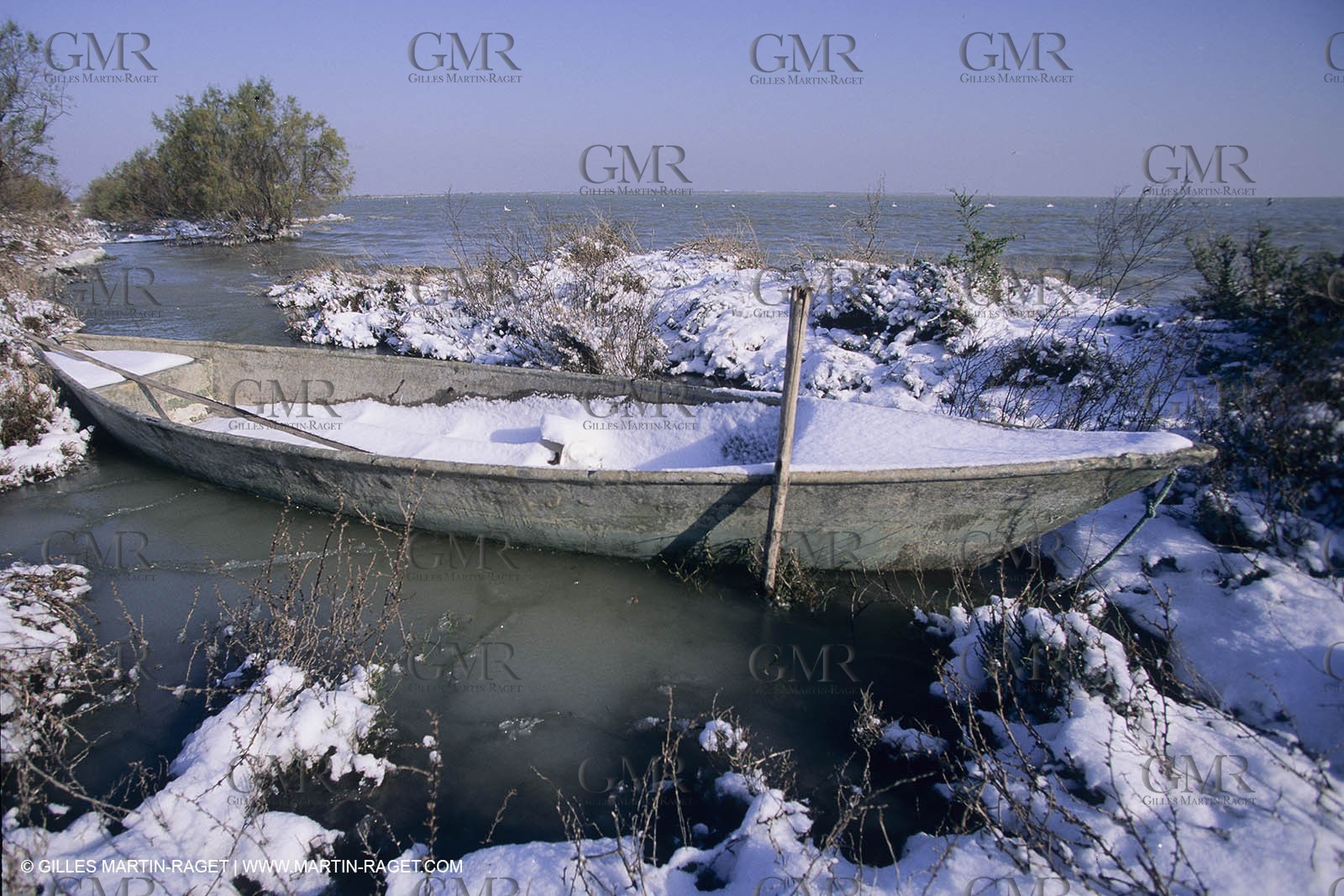 Provence under snow - Camargue