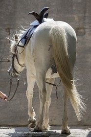 06 07 2014, Arles (FRA,13), Fête du costume