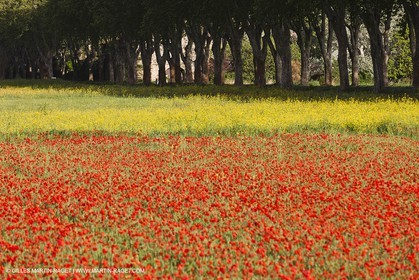 29 04 2012 ( Saint Rémy de Provence (FRA, 13) - Chaîne des Alpilles vers Romanin