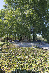 22 06 2018, Saint-Saturnin les Apts (FRA,84), Domaine des Andéols