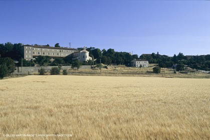 France, Provence, La sainte Baume, Provence verte, collines de Pagnol