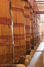 Saint Drézéry (FRA, 34), Domaine de Puech Haut