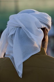 20 11 2010 - Dubai (UAE) - Camel races