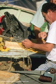 Pêche, barques, pointus, pêcheurs
