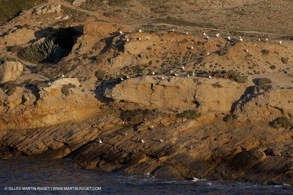 Décember 2009 - Marseille (FRA) - Les Calanques - Calanque de Marseilleveyre