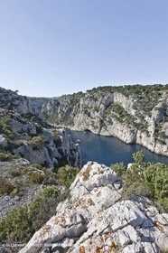 06 05 2009 - Marseille (FRA, 13) - Les Calanques - Sur le plateau de Castelviel - En Vau