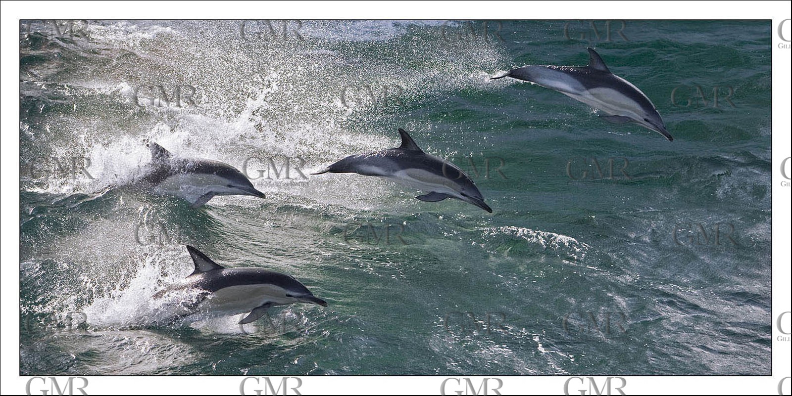 Product: in house made quality print on 8 ultrachome colors Epson ink Jet printer.Available sizes: . 50 x 100 cm. 100 x 200 cmAvailable papers: . Standard 250 gr glossy paper print, black streak, white margin, no signature. Top quality glossy 290 gr. paper, black streak, white margin, checked and signed by the author. Fine Art print (signed, numbered, stamped, registered) on demand. Other supports (Canvas, Acrylic, Metal) on demandPackaging: cylindric reinforced tubeShipping options: regular mail or Shipping companyClick on the basket icon to select your options and start the online ordering process