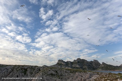 06 05 2009 - Marseille (FRA, 13) - Les Calanques - Plane Island