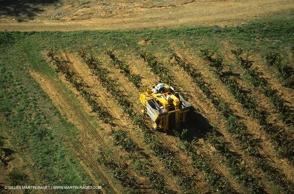 Provence, Le temps des vendanges