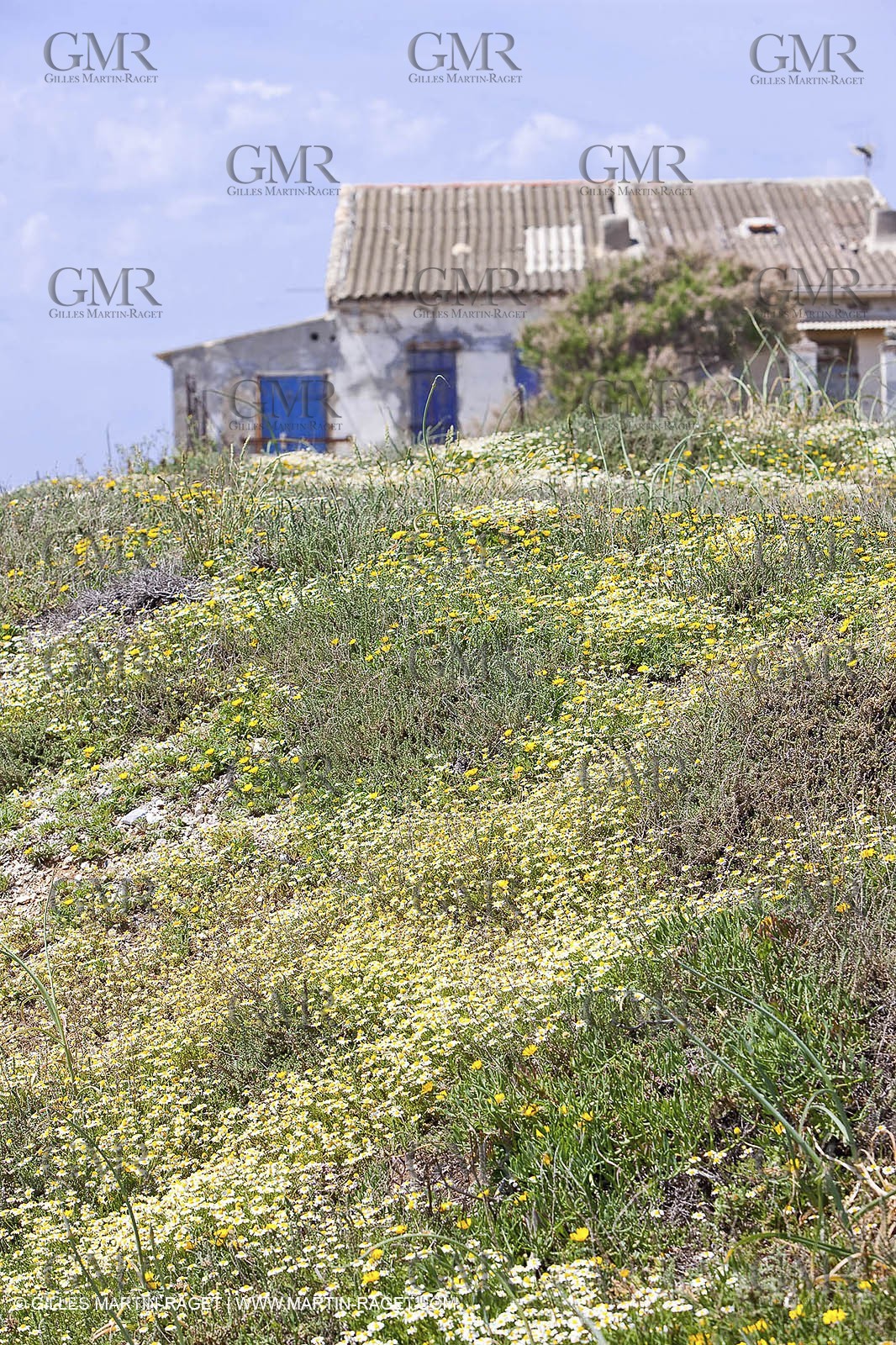 20 05 2009 - Marseille (FRA, 13) - Les Calanques - Calanque de Marseilleveyre