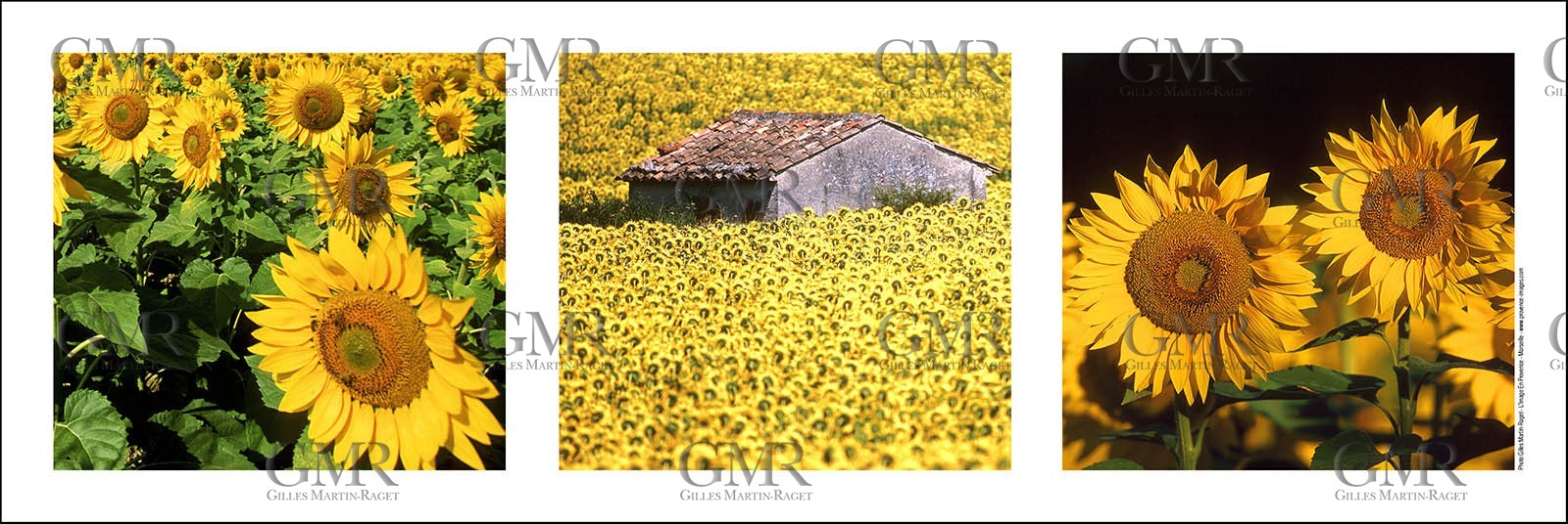 Product: in house made quality print on 8 ultrachome colors Epson ink Jet printer.Available sizes: . 20x 60 cm. 33 x 95 cm. 52 x 150 cmAvailable papers:  . Standard 250 gr glossy paper print, black streak, white margin, no signature . Top quality glossy 290 gr. paper, black streak, white margin, checked and signed by the author . Fine Art print (signed, numbered, stamped, registered) on demand . Other supports (Canvas, Acrylic, Metal) on demandPackaging: cylindric reinforced tubeShipping options: regular mail or Shipping companyClick on the basket icon to select your options and start the online ordering process