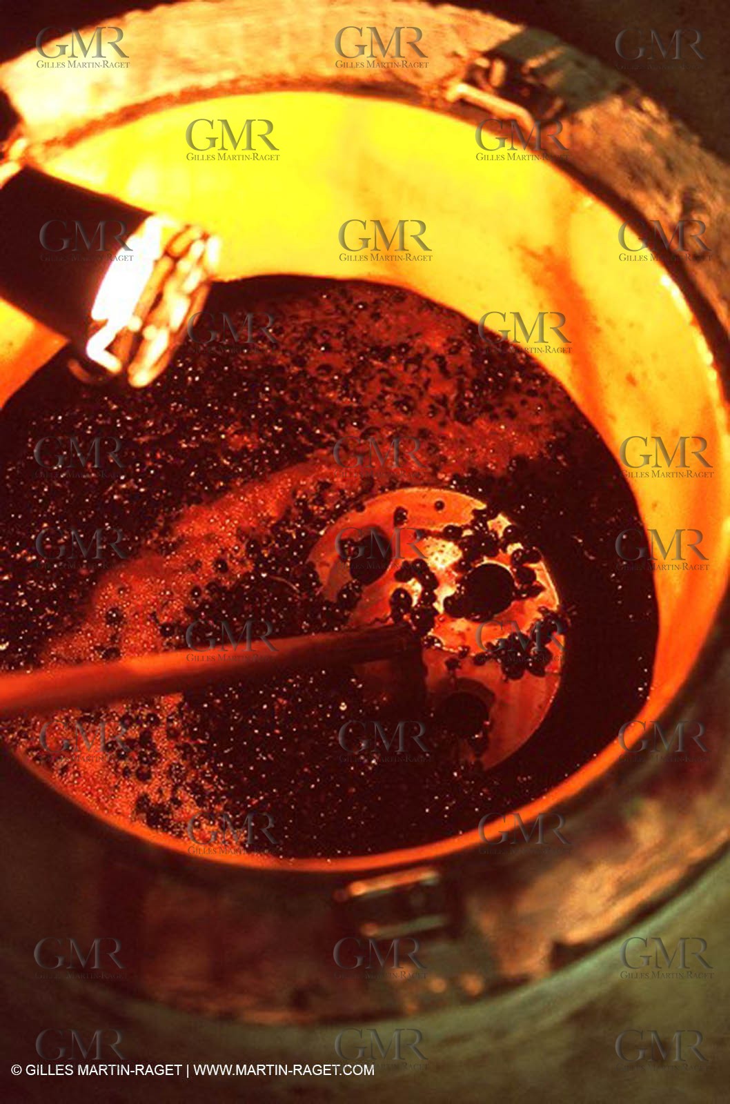 Wine - vineyards - Harvest