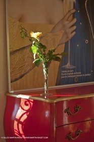 22 12 2008-Cabasse (FRA,83) - Domaine du Lac