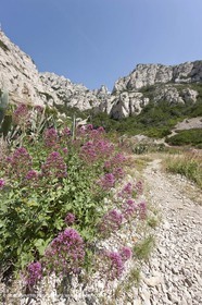 20 05 2009 - Marseille (FRA, 13) - Les Calanques - Calanque du Podestat