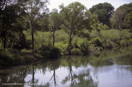 La Calmette