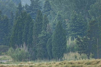 June 24th 2008 - Saint Rémy de Provence (FRA,13) - Alpilles hills landscapes