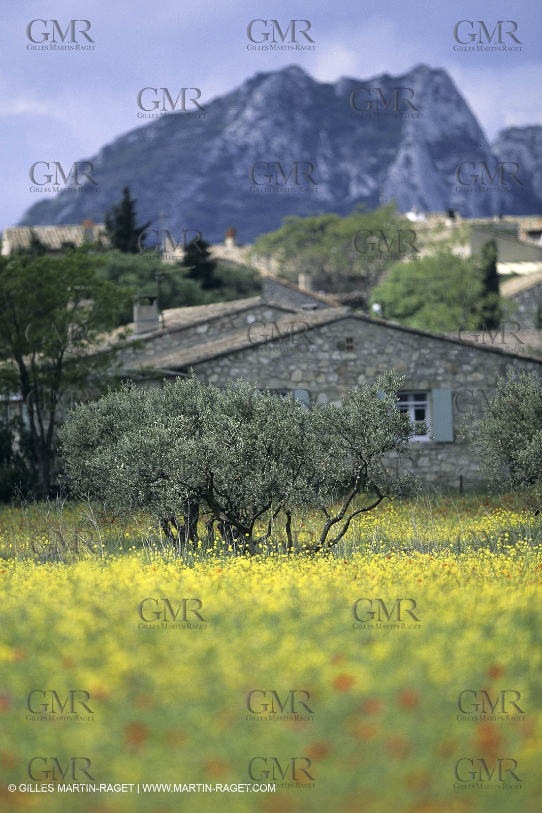 ALPILLES0027.jpg