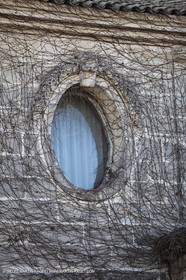 Saint Drézéry (FRA, 34), Domaine de Puech Haut