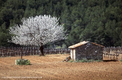 France, Provence, Paysages du Luberon, Luberon Landscapes