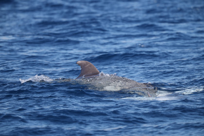 GMR_JurisCup25_3449.jpg