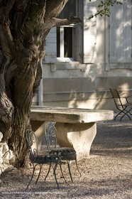 28 10 2007 - St Rémy de Provence (FRA,13) - Chateau des Alpilles