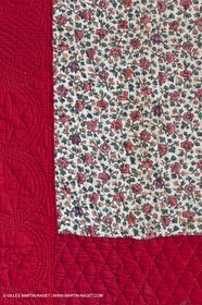 30 06 2011 - Toulon (FRA,83) - Villa Rosemaine - Exposition Indiennes sublimes