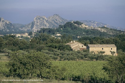 France, Provence, paysage des Alpilles, Alpilles landscapes, Eygalières