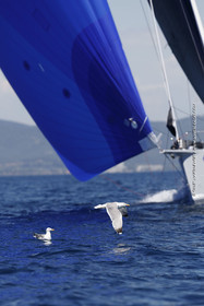 11 05 2024, Porquerolles (FRA, 83), Porquerolles's Race 2024, Jour 4