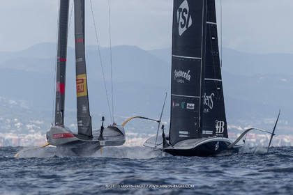 GMR_7550.jpg