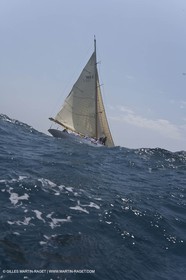 Sailing, Classic yachts, Voiles Vieux Port 2009, Marseille (FRA)