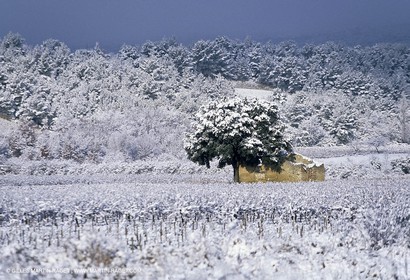 Provence under snow