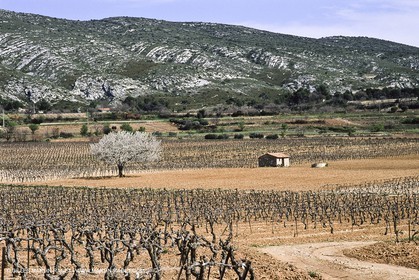 Aix en Provence area