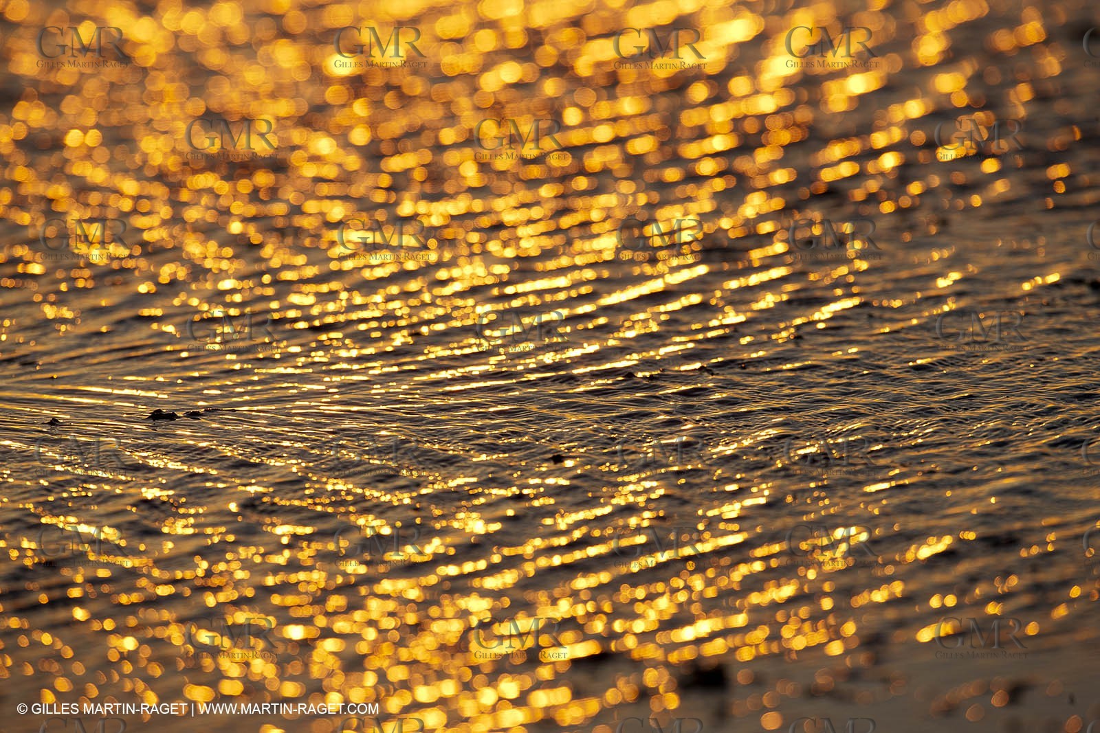 25 05 2011 - Les Saintes Maries de la Mer (FRA,13) - gypsies gathering