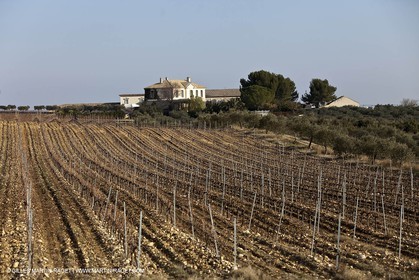 Saint Drézéry (FRA, 34), Domaine de Puech Haut