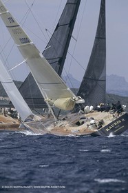 Yacht racing, Maxi monohulls