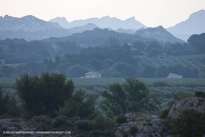 June 24th 2008 - Mouriès (FRA,13) - Alpilles hills landscapes - Le Destet area