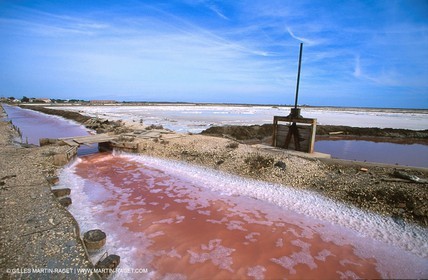 Salt-water marsh