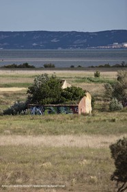 13 06 2012 - Saint Chamas (FRA,13)
