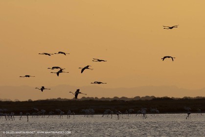25 05 2011 - Les Saintes Maries de la Mer (FRA,13) - Fête des Gitans