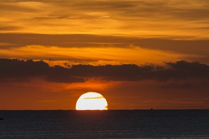 11 10 2014, Alicante (ESP), Volvo Ocean Race 2014-15, Team Alvimedica