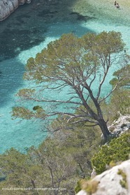 03 05 2009 - Marseille (FRA, 13) - Les Calanques - En Vau