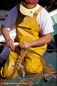 Fisherman from Marseille
