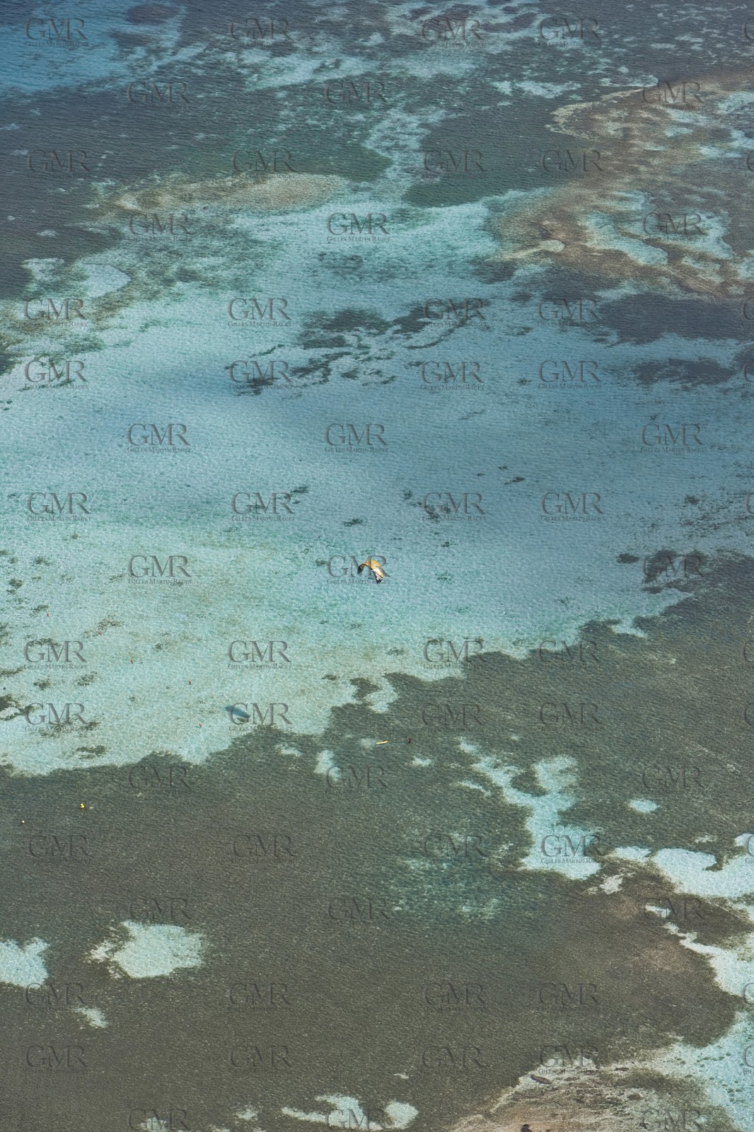 08 01 2008 - Martinique island East coast