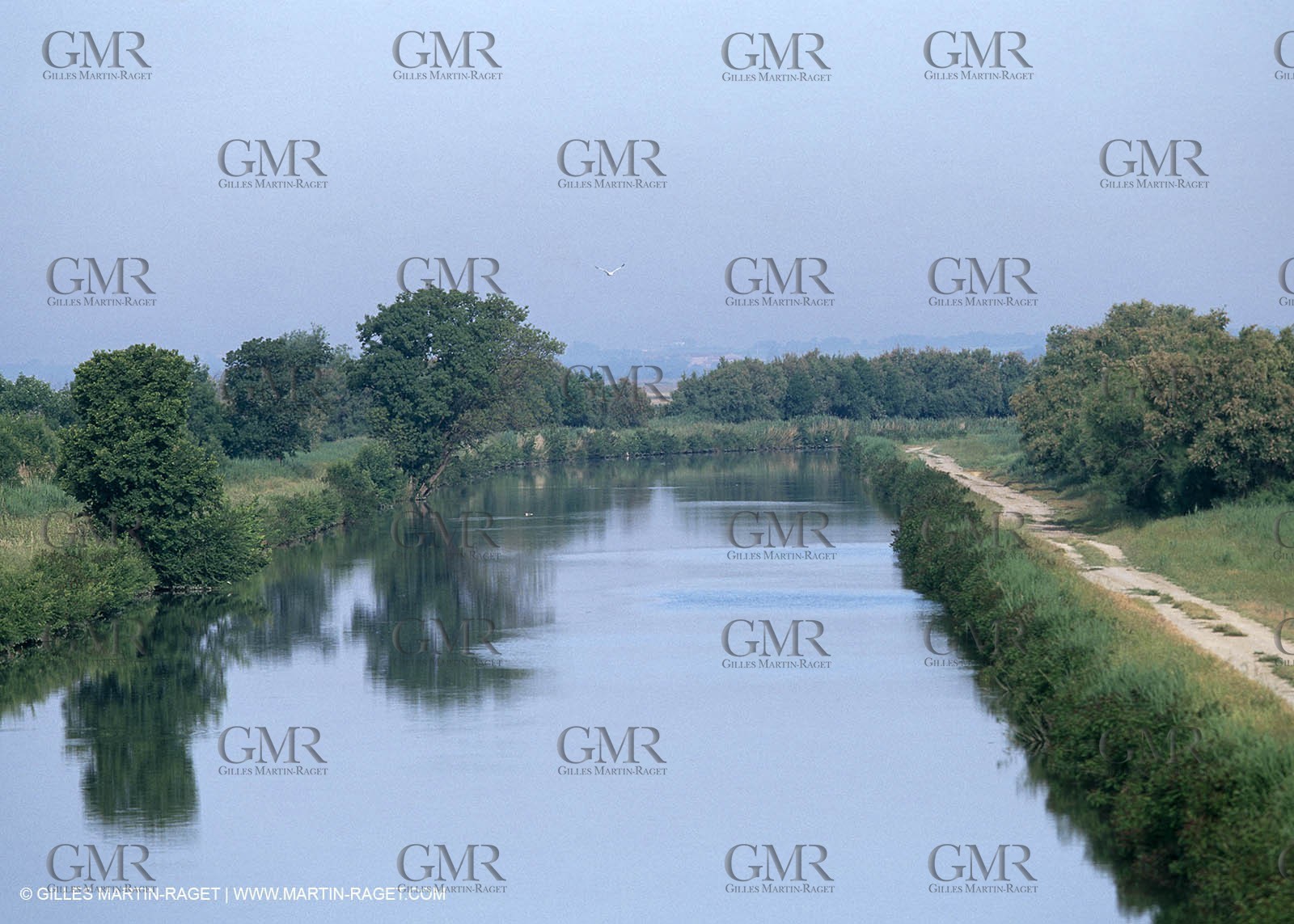 Camargue (FRA,13) - Little Camargue