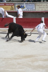 courses libres
