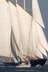 VST21D0_1567.jpg