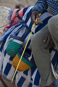 20 11 2010 - Dubai (EAU) - Courses de chameaux