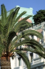 France - Côte d'Azur - Nice